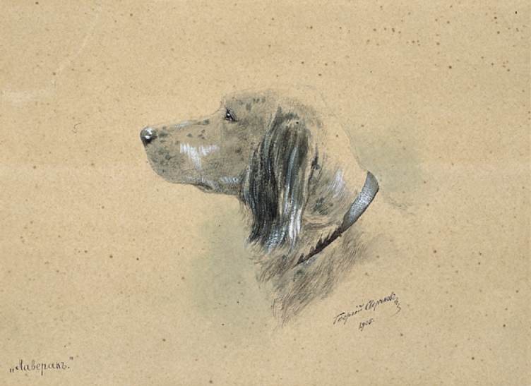 Der Laverack-Hund von Georgy Nikolaevich Sverchkov, 1905.
